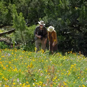 Seniors Free Day photographing in Meadow