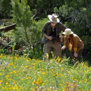 Seniors Free Day photographing in Meadow