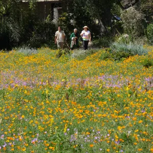 Seniors Free Day visitors at Meadow