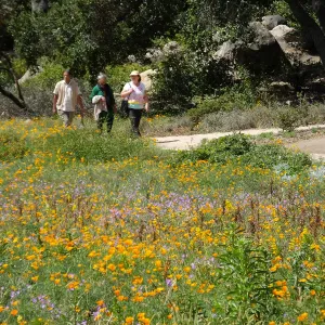 Seniors Free Day visitors at Meadow