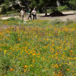 Seniors Free Day visitors at Meadow