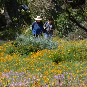 Seniors Free Day visitors at Meadow