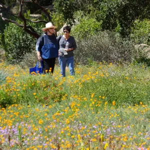 Seniors Free Day visitors at Meadow