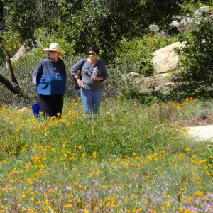 Seniors Free Day visitors at Meadow