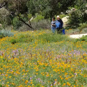 Seniors Free Day visitors at Meadow
