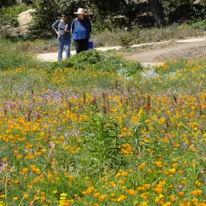 Seniors Free Day visitors at Meadow