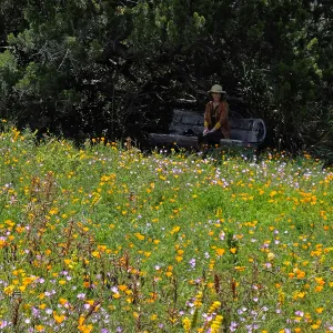 Visitor admiring Meadow from Thomas Holton Bench