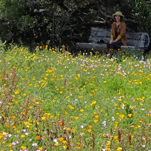 Visitor admiring Meadow from Thomas Holton Bench
