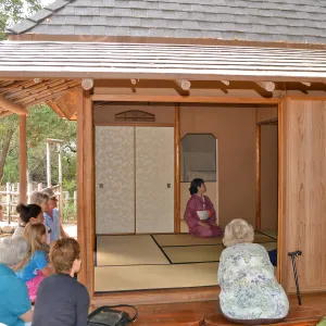 Tea Ceremony, Member Appreciation Event