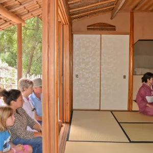 Tea Ceremony, Member Appreciation Event