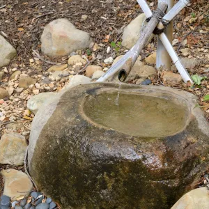 Tea Ceremony, Member Appreciation Event