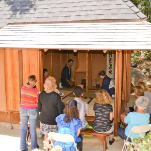 Tea Ceremony, Member Appreciation Event