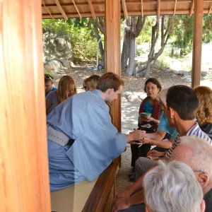 Tea Ceremony, Member Appreciation Event