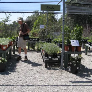 Rancho Santa Ana Botanic Garden, Jay Kendall