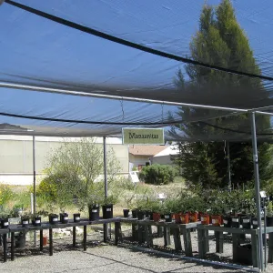 Rancho Santa Ana Botanic Garden