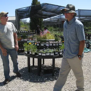 Rancho Santa Ana Botanic Garden Nursery