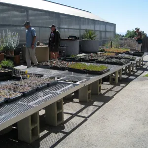 Rancho Santa Ana Botanic Garden Nursery