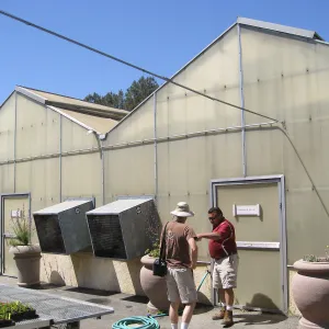 Rancho Santa Ana Botanic Garden Nursery
