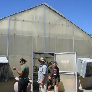Rancho Santa Ana Botanic Garden Nursery