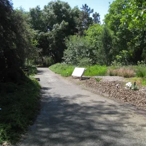 Rancho Santa Ana Botanic Garden
