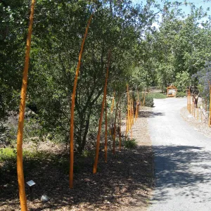 Rancho Santa Ana Botanic Garden