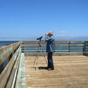 Santa Rosa Island, Patrick McNulty