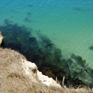 Santa Rosa Island