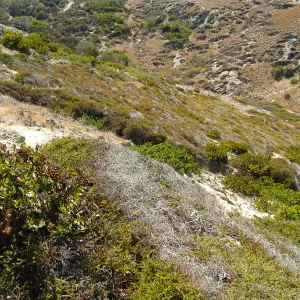 Santa Rosa Island