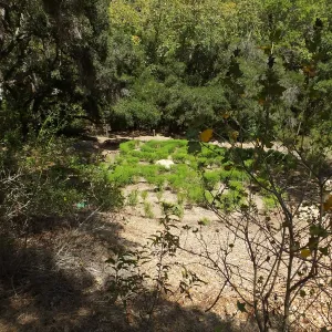 Centennial Maze