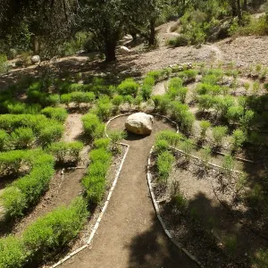 Centennial Maze