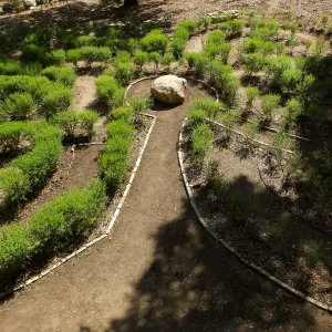 Centennial Maze