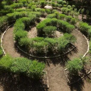 Centennial Maze