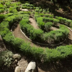 Centennial Maze