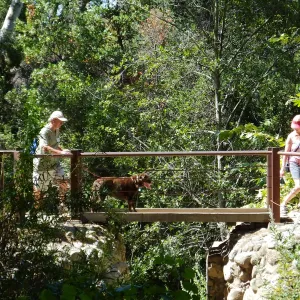 Trails n Tails 2015
