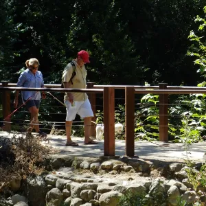 Trails n Tails 2015