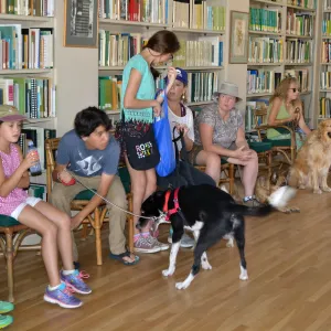 Trails n Tails 2015, dog obedience training demo