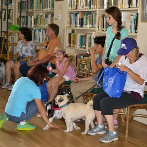 Trails n Tails 2015, dog obedience training demo