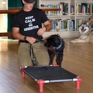 Trails n Tails 2015, dog obedience training demo