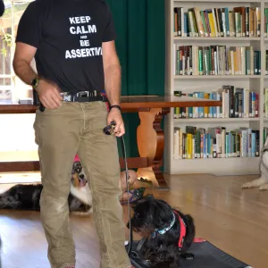 Trails n Tails 2015, dog obedience training demo