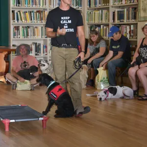 Trails n Tails 2015, dog obedience training demo