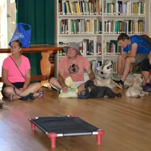 Trails n Tails 2015, dog obedience training demo