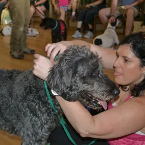 Trails n Tails 2015, dog obedience training demo