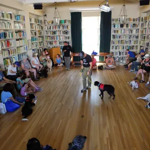 Trails n Tails 2015, dog obedience training demo