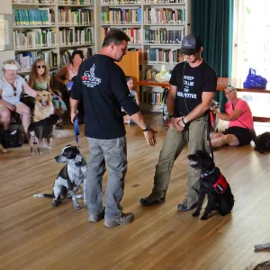 Trails n Tails 2015, dog obedience training demo