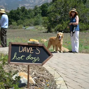 Trails n Tails 2015