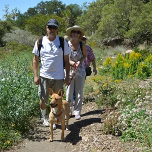 Trails n Tails 2015