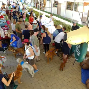 Trails n Tails 2015, vendor tables