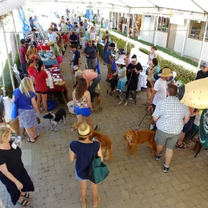 Trails n Tails 2015, vendor tables