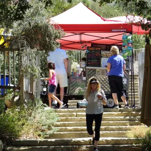 Trails n Tails 2015, Dave's (Hot) Dogs