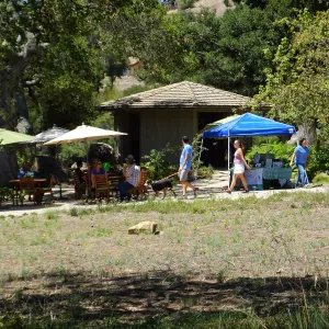 Trails n Tails 2015